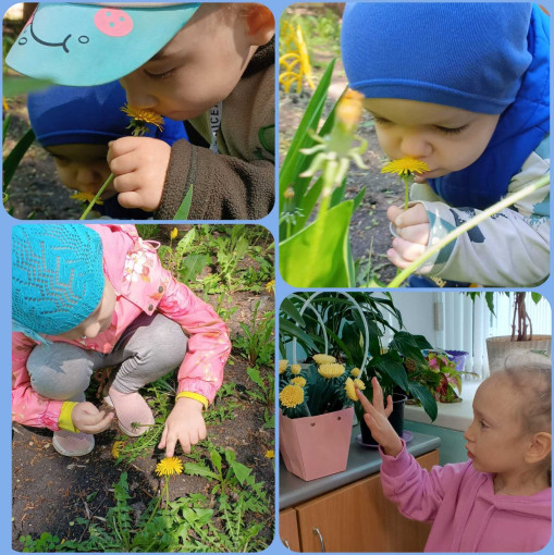 День одуванчика! День одуванчика!.